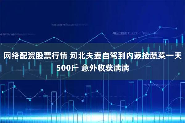 网络配资股票行情 河北夫妻自驾到内蒙捡蔬菜一天500斤 意外收获满满